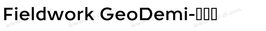 Fieldwork GeoDemi字体转换 Fieldwork GeoDemi字体转换